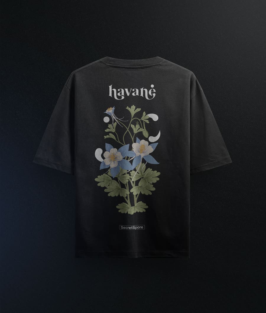 TSHIRT HAVANE - ARQUILEGIA